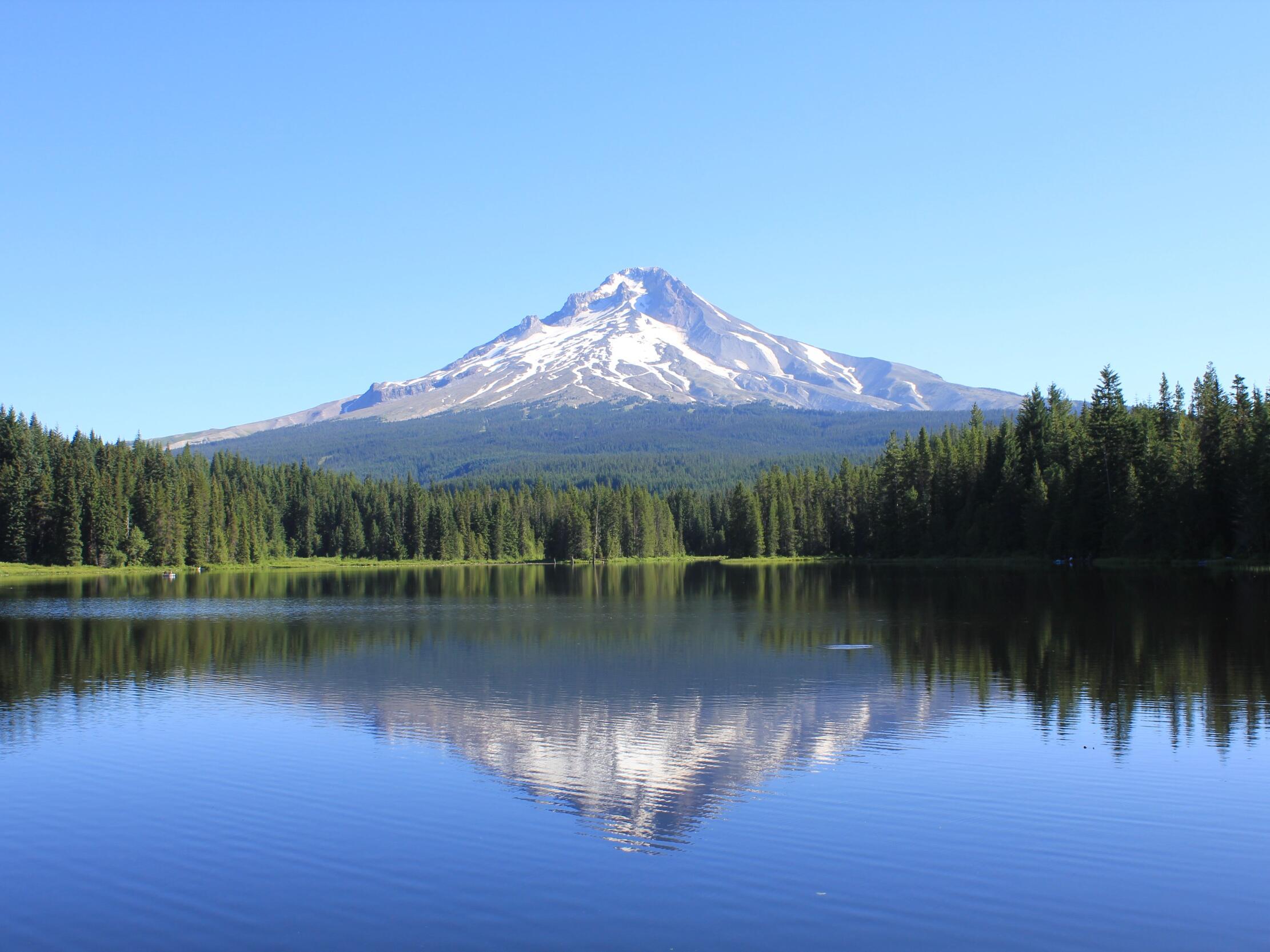Picture of Elopement at Trillium Lake
