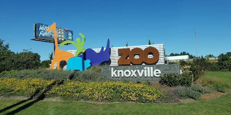 Picture of Knoxville Zoo