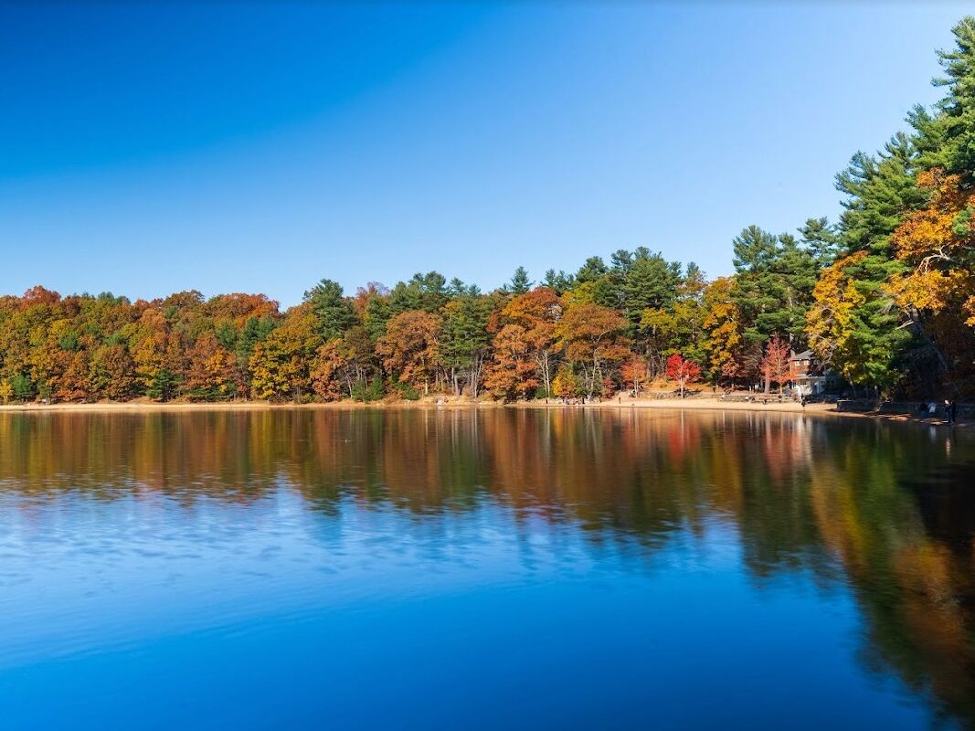Picture of Walden Pond State Reservation