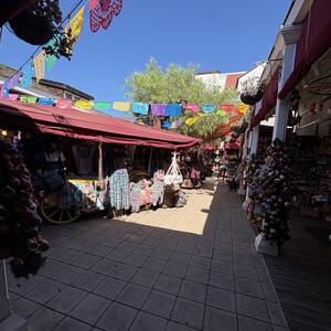 Gallery Photo 28