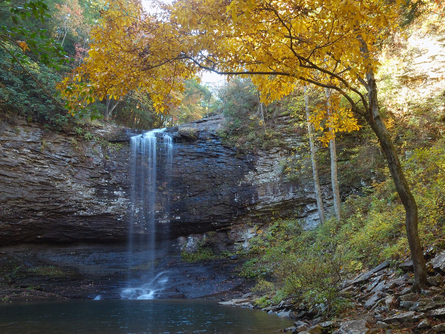 Picture of Cloudland Canyon State Park
