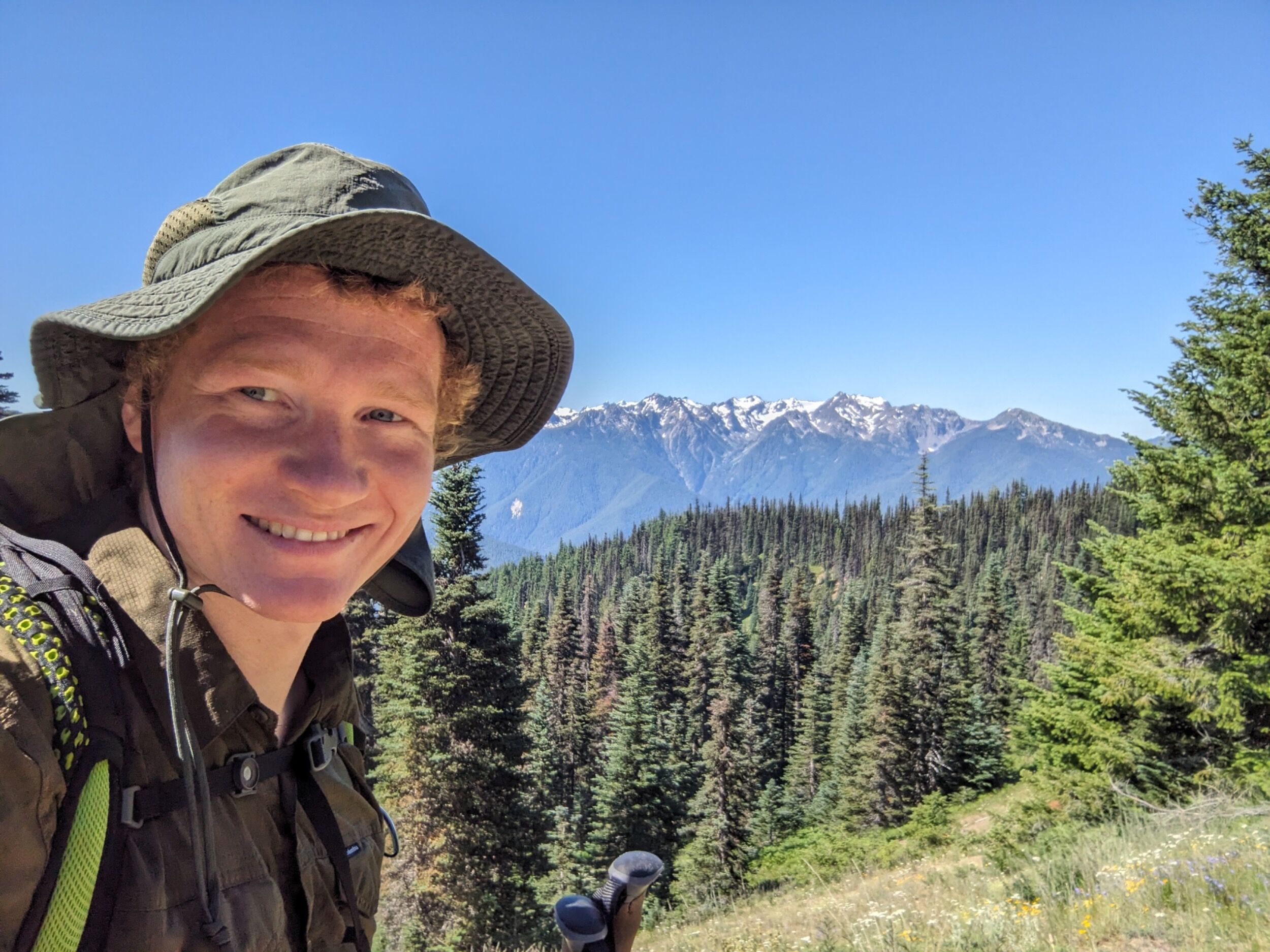 Picture of Olympic National Park