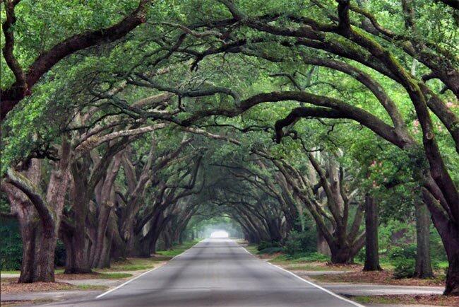 Picture of Aiken City Parks & Rec Maintenance