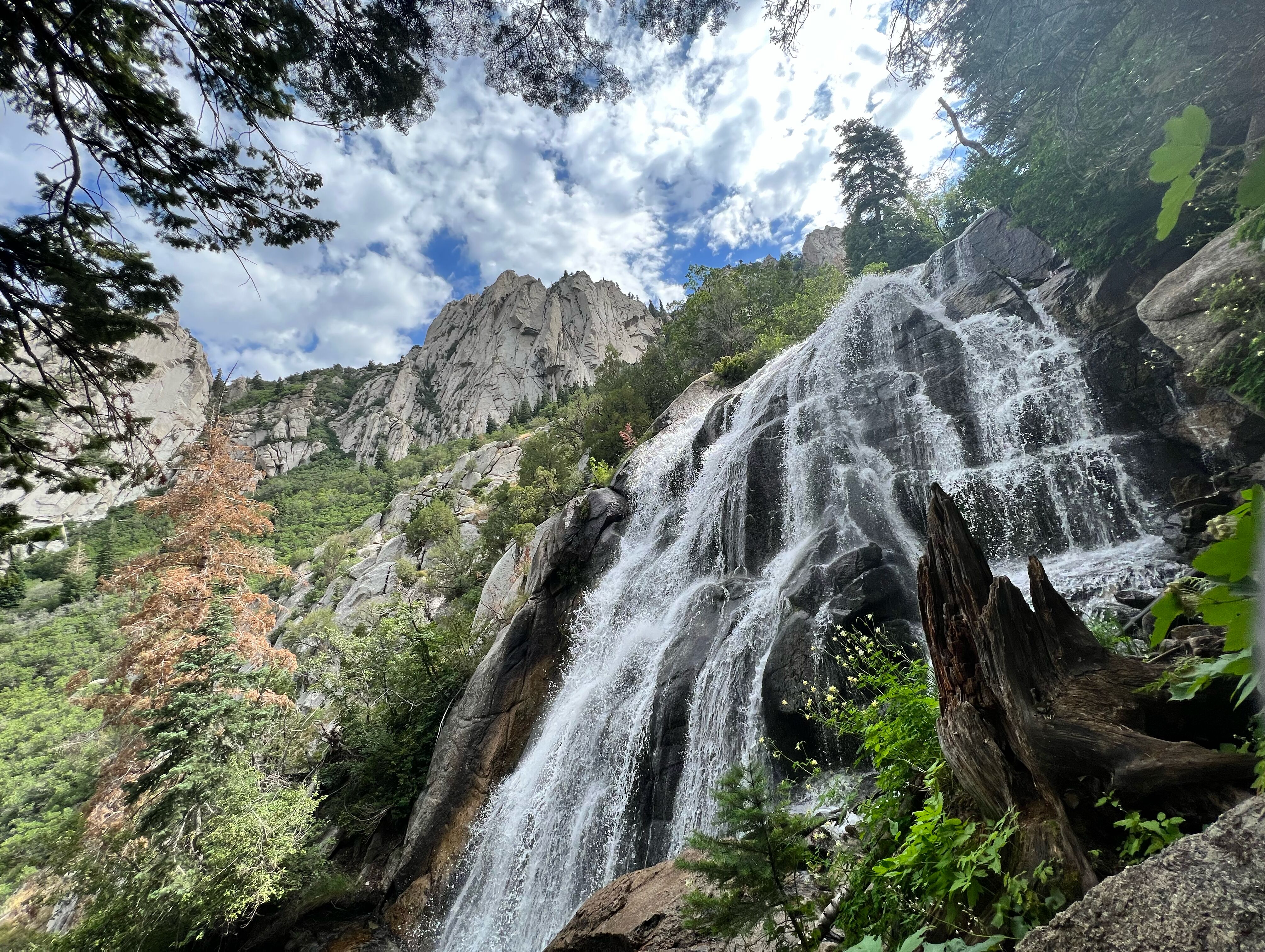 Picture of The Great Outdoors