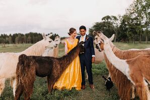 Bride, Groom and Alpacas at Woods Edge Llama Farm in Stockton, New Jersey