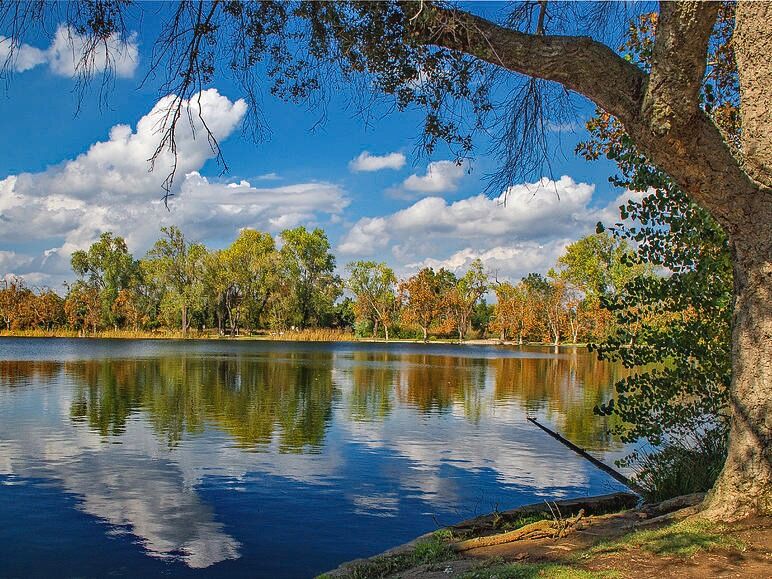 Picture of Lodi Lake
