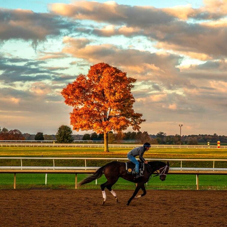 Picture of Keeneland 