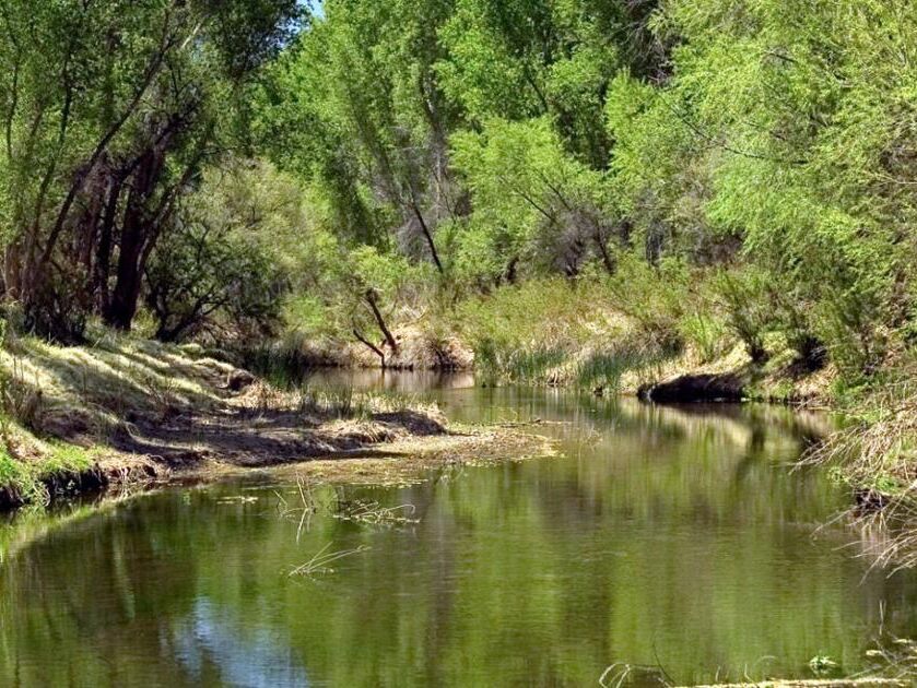 Picture of San Pedro River