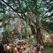 Outdoor Casual Reception in the Park with Boho Details
