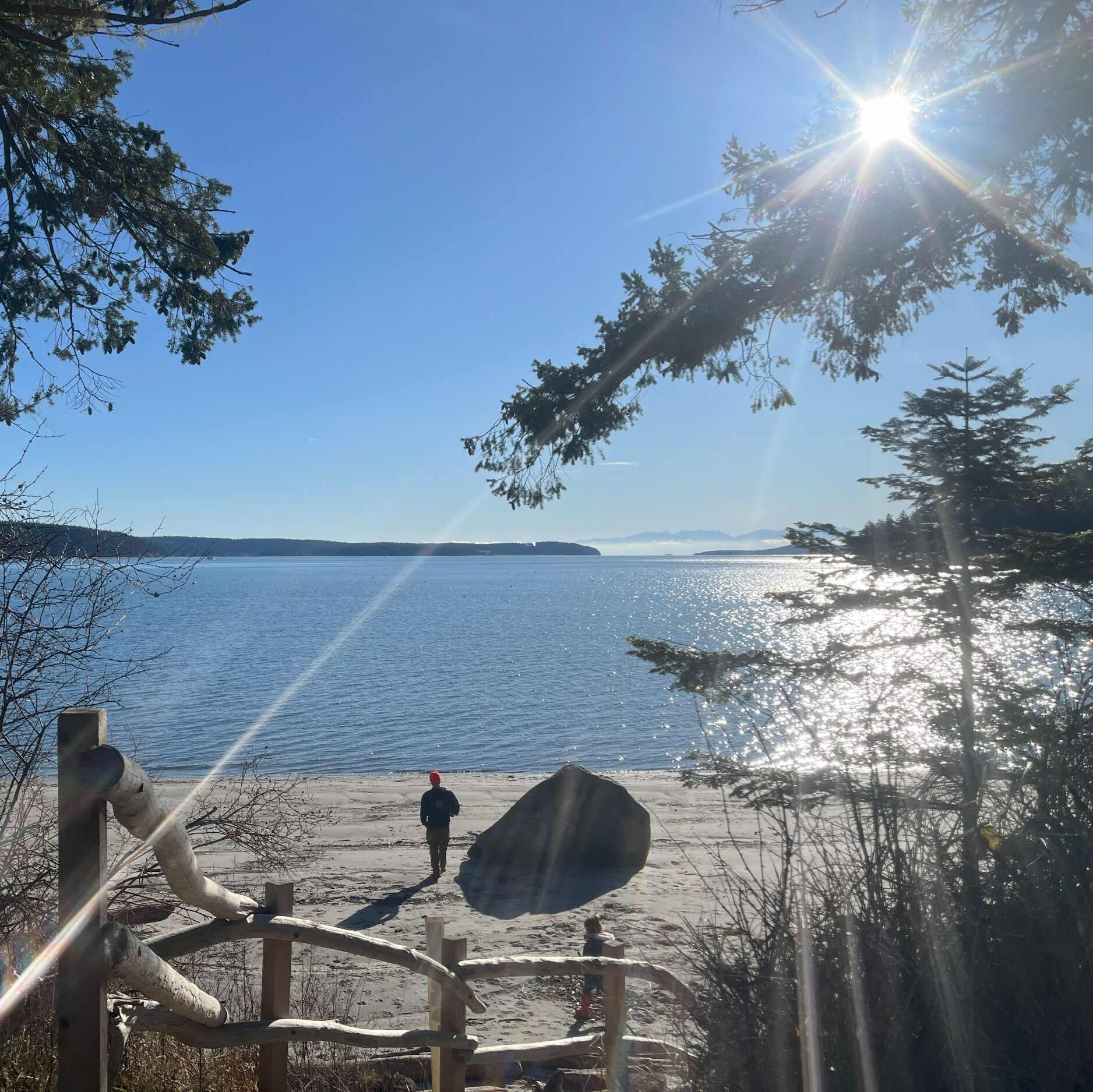 Picture of Shaw Island Camp Ground