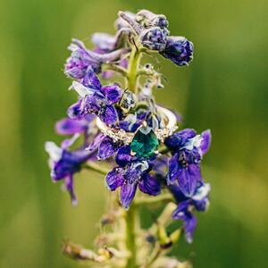 Gallery Photo 27