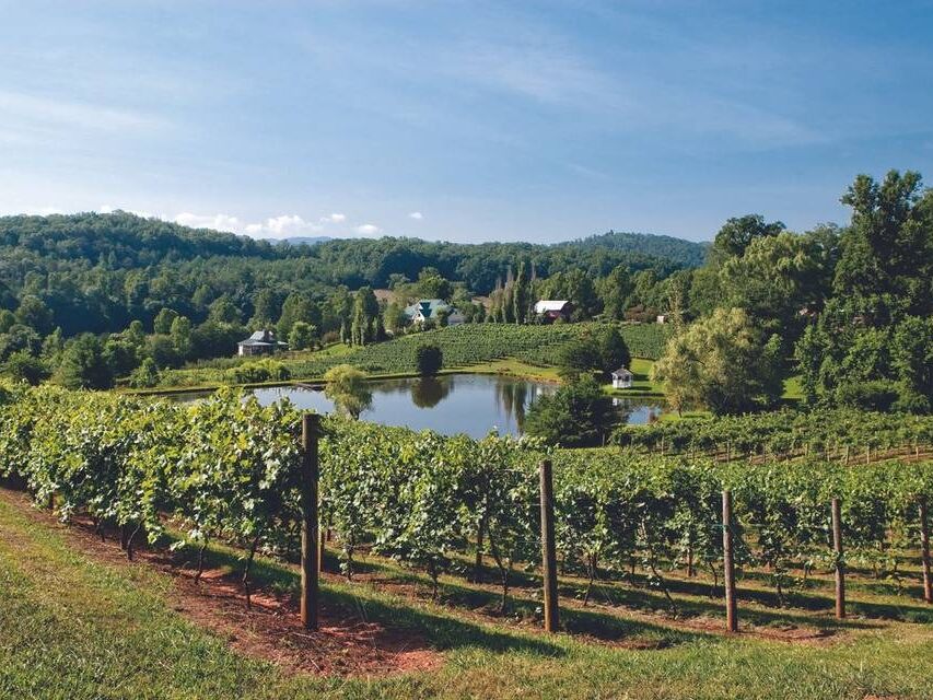 Picture of Crane Creek Vineyards