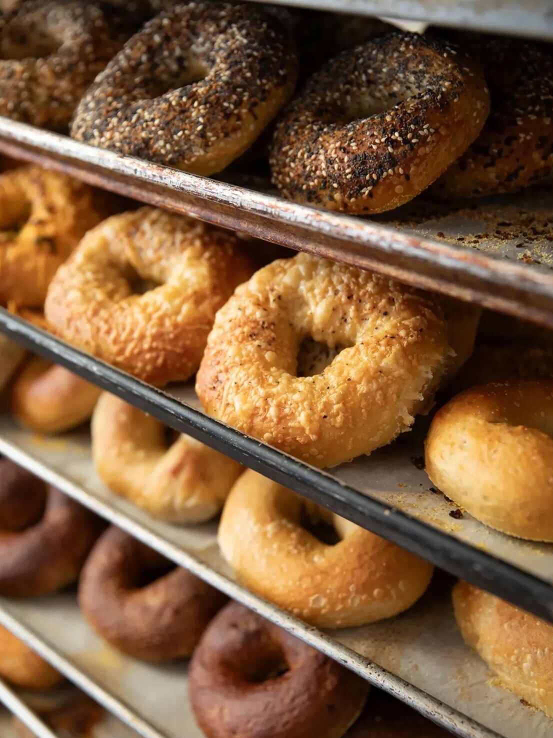 Picture of Hidden Bagel