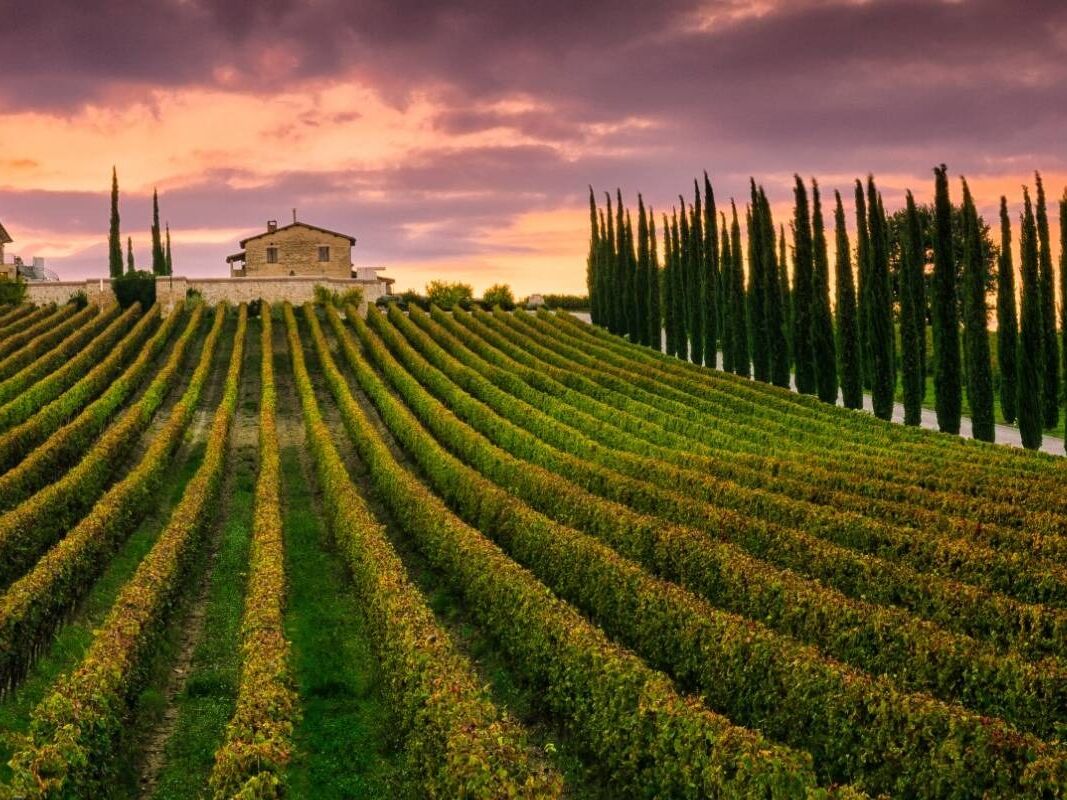 Picture of Umbrian Activities