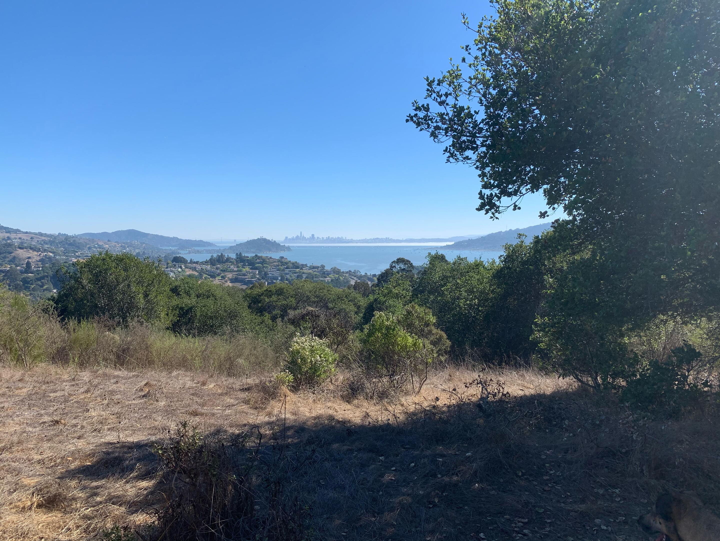 Picture of Hiking