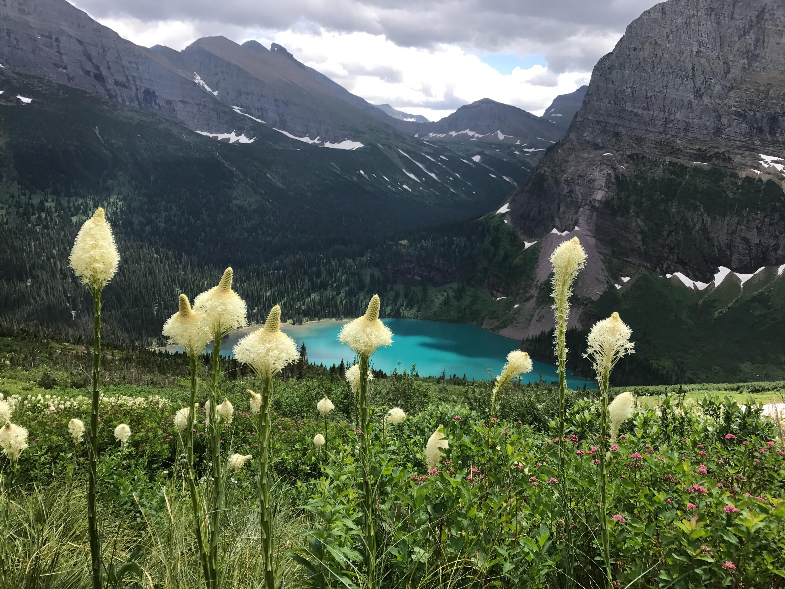 Picture of Glacier National Park