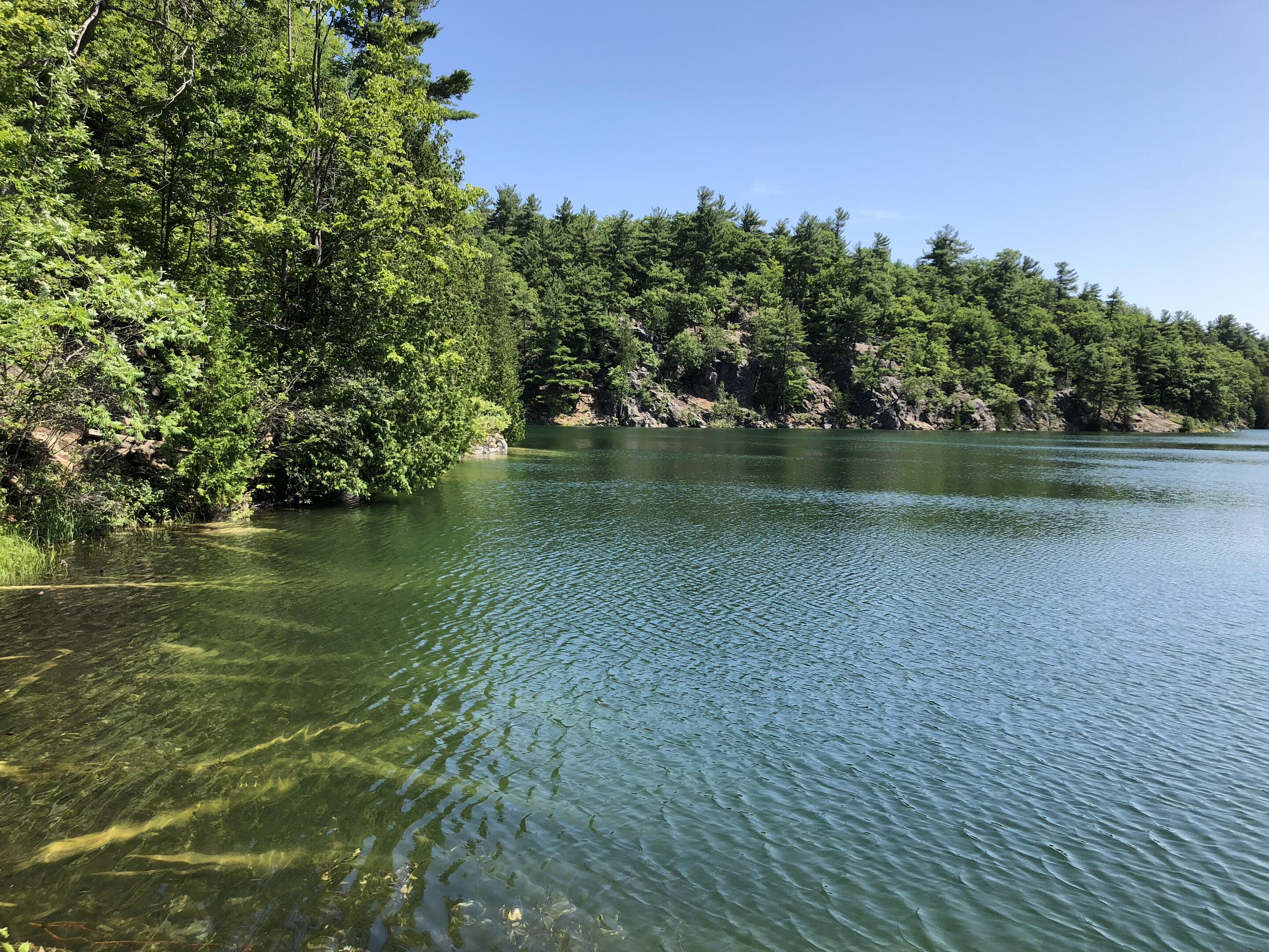 Picture of Gatineau Park- Pink Lake