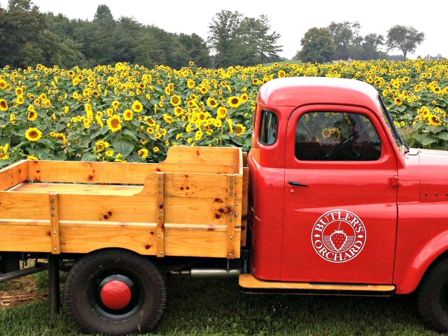 Picture of Butler's Orchard
