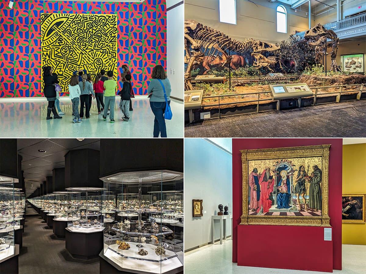 Picture of Carnegie Museum of Art & Natural History