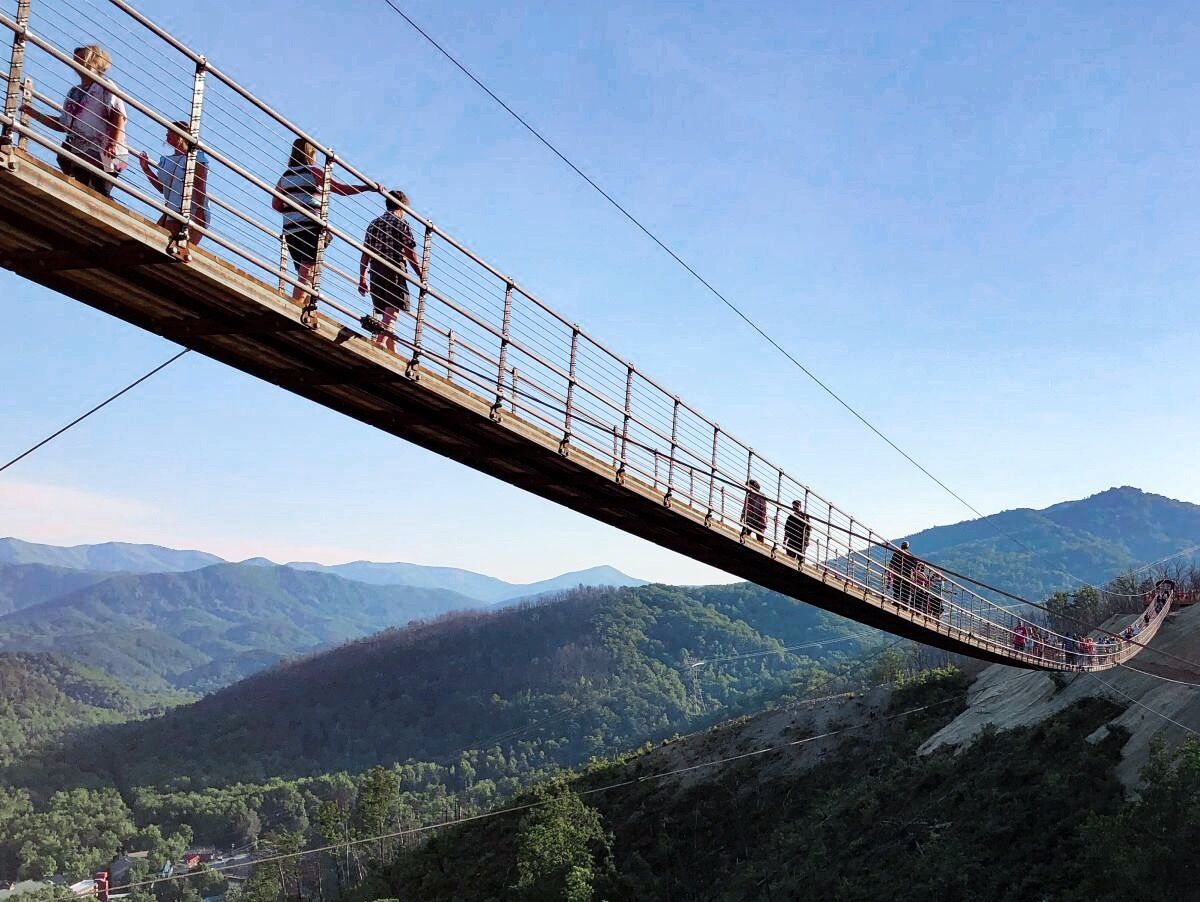 Picture of Skybridge