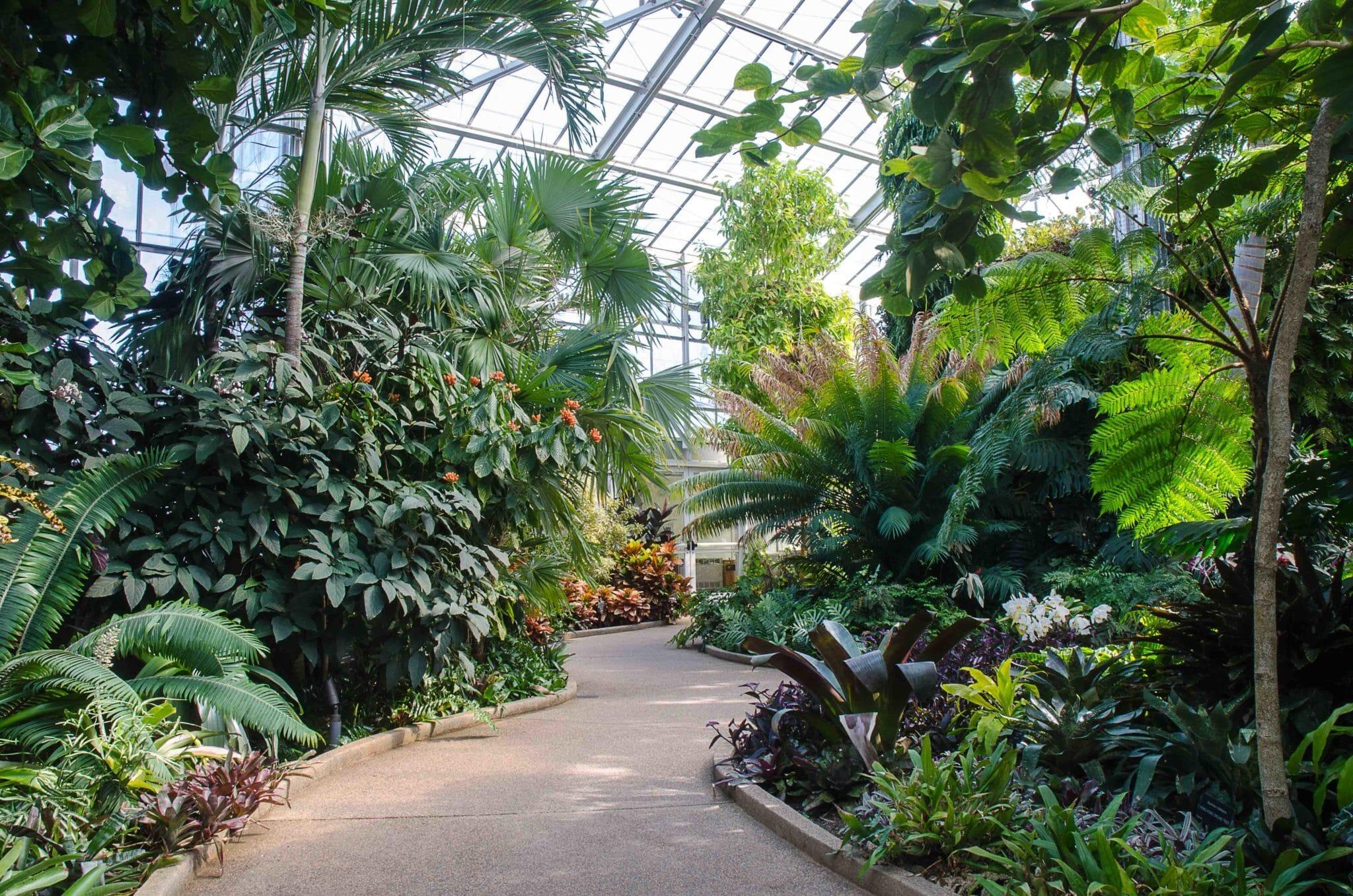 Picture of Daniel Stowe Botanical Garden