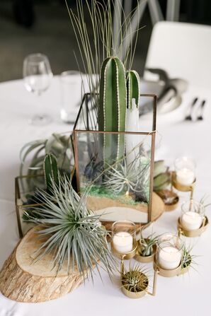 Succulent and Cacti Centerpieces at South Congress Hotel in Austin, Texas