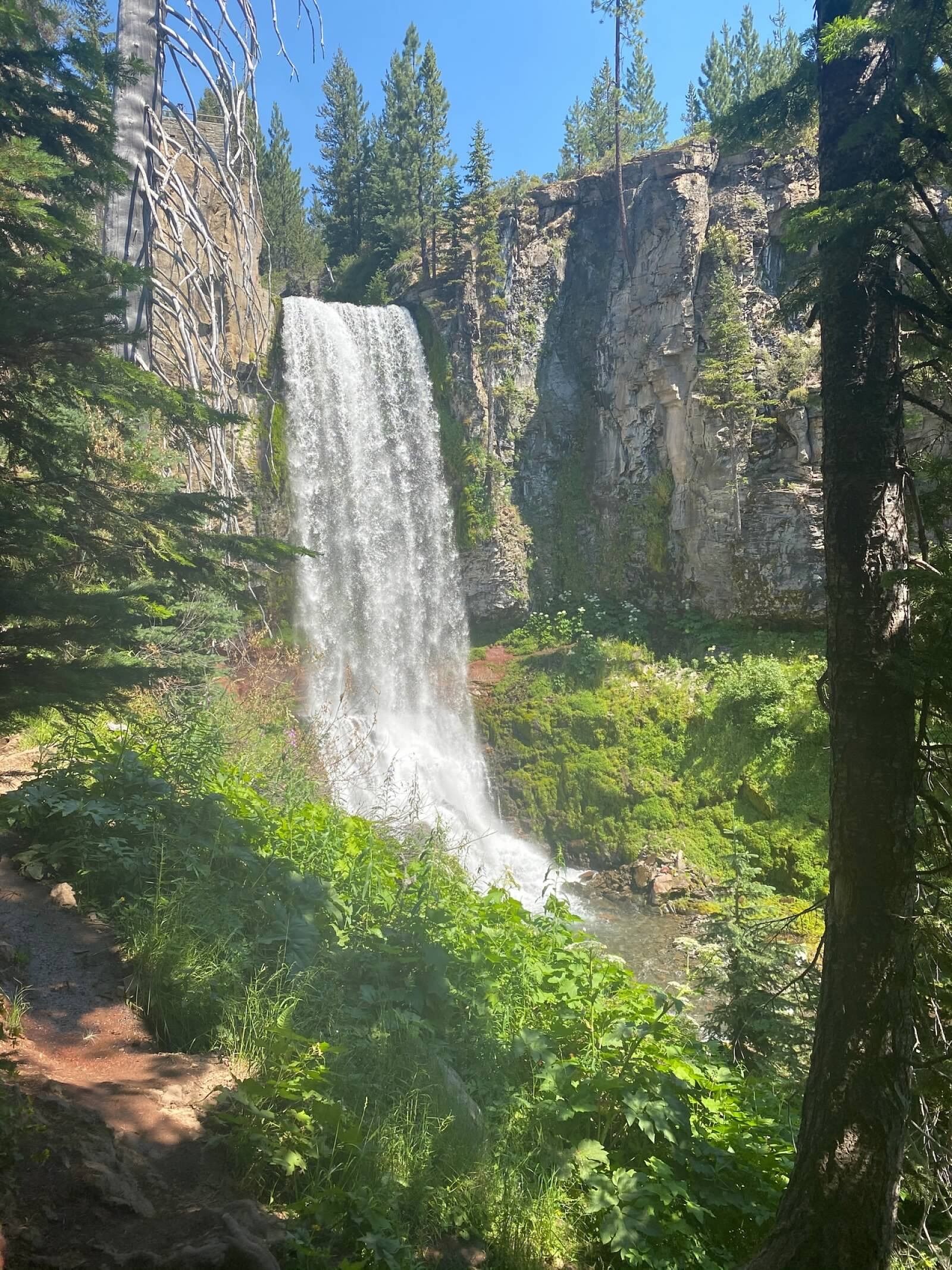 Picture of Tumalo Falls Trailhead