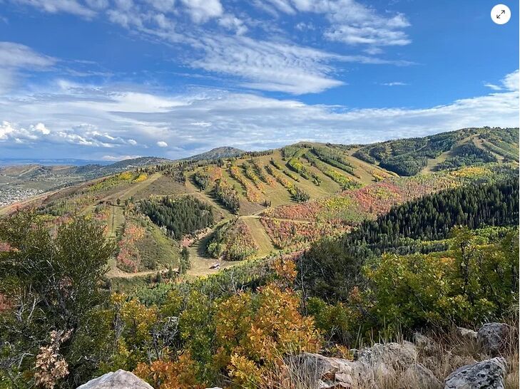 Picture of Iron Mountain Trail
