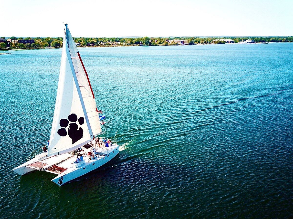 Picture of Nauti Cat Cruises