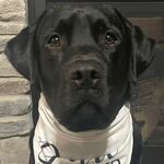 Waylon