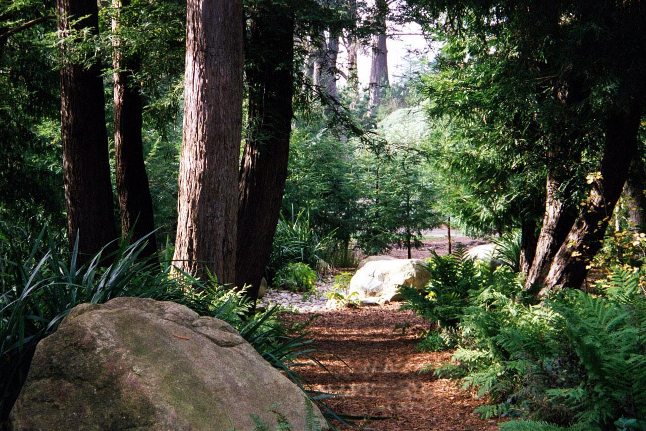 Album Photo 7