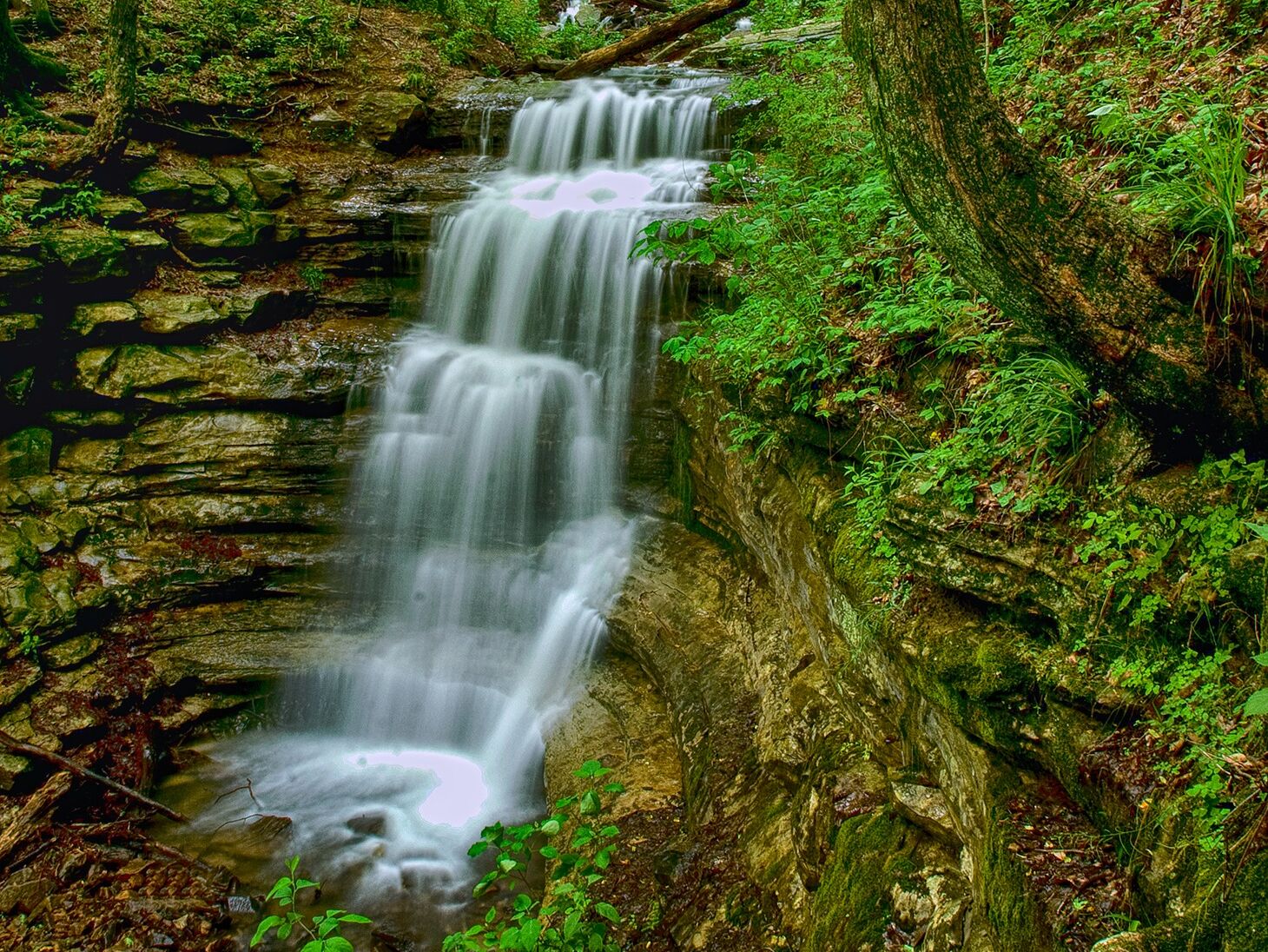 Picture of Hiking