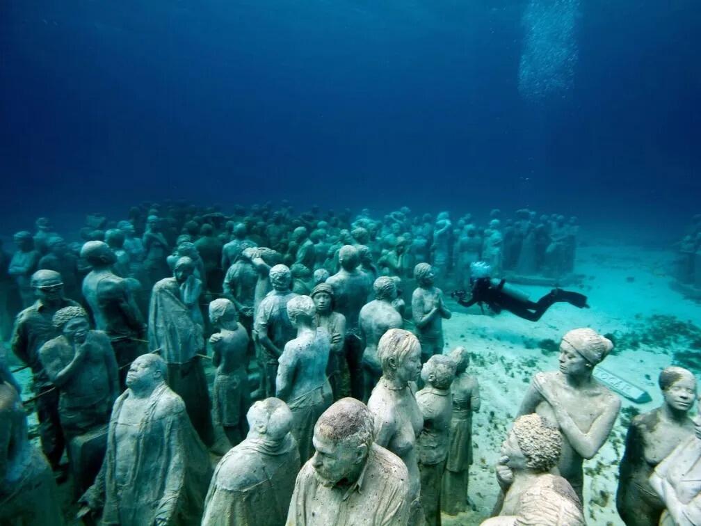 Picture of Snorkel Tours
