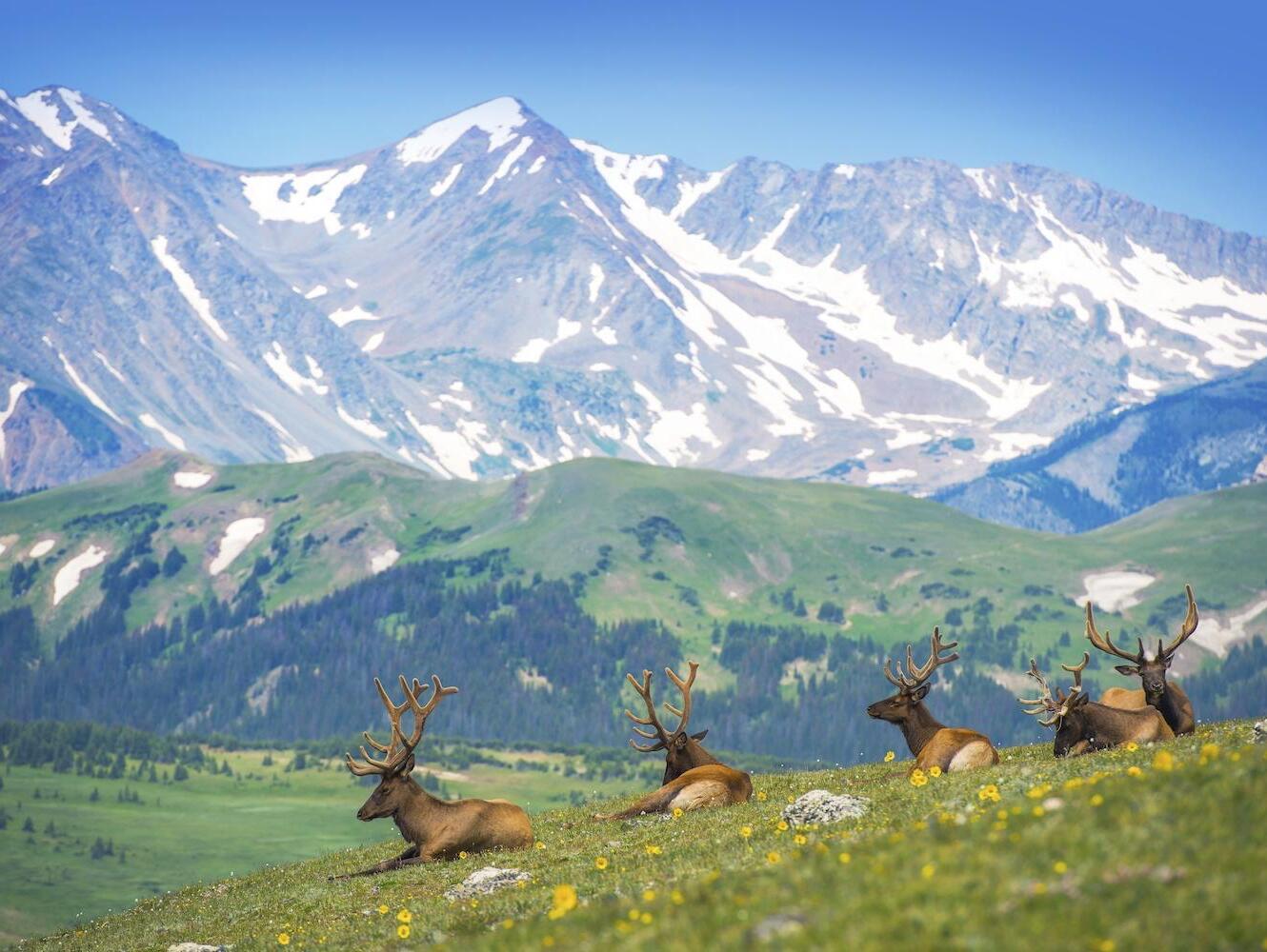 Picture of Rocky Mountain National Park
