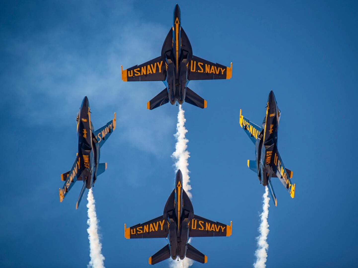 Picture of Cleveland National Air Show