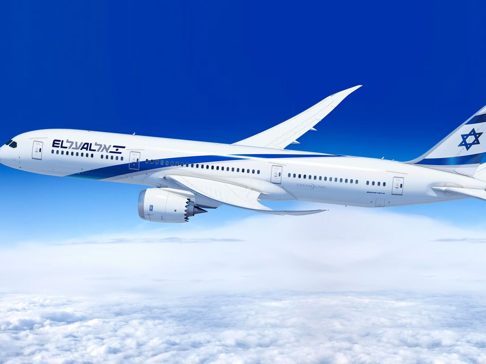 Picture of Airline