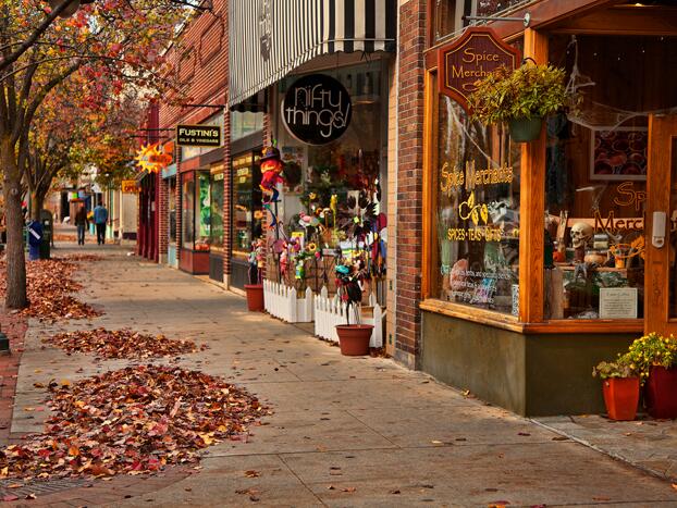 Picture of  Downtown Traverse City