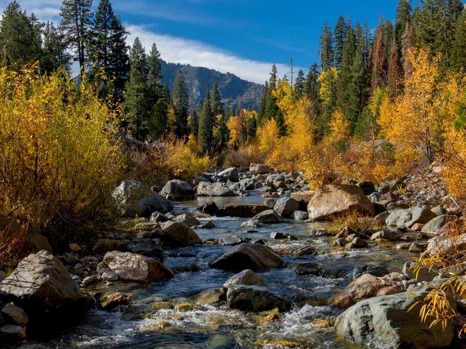 Picture of Plumas-Eureka State Park