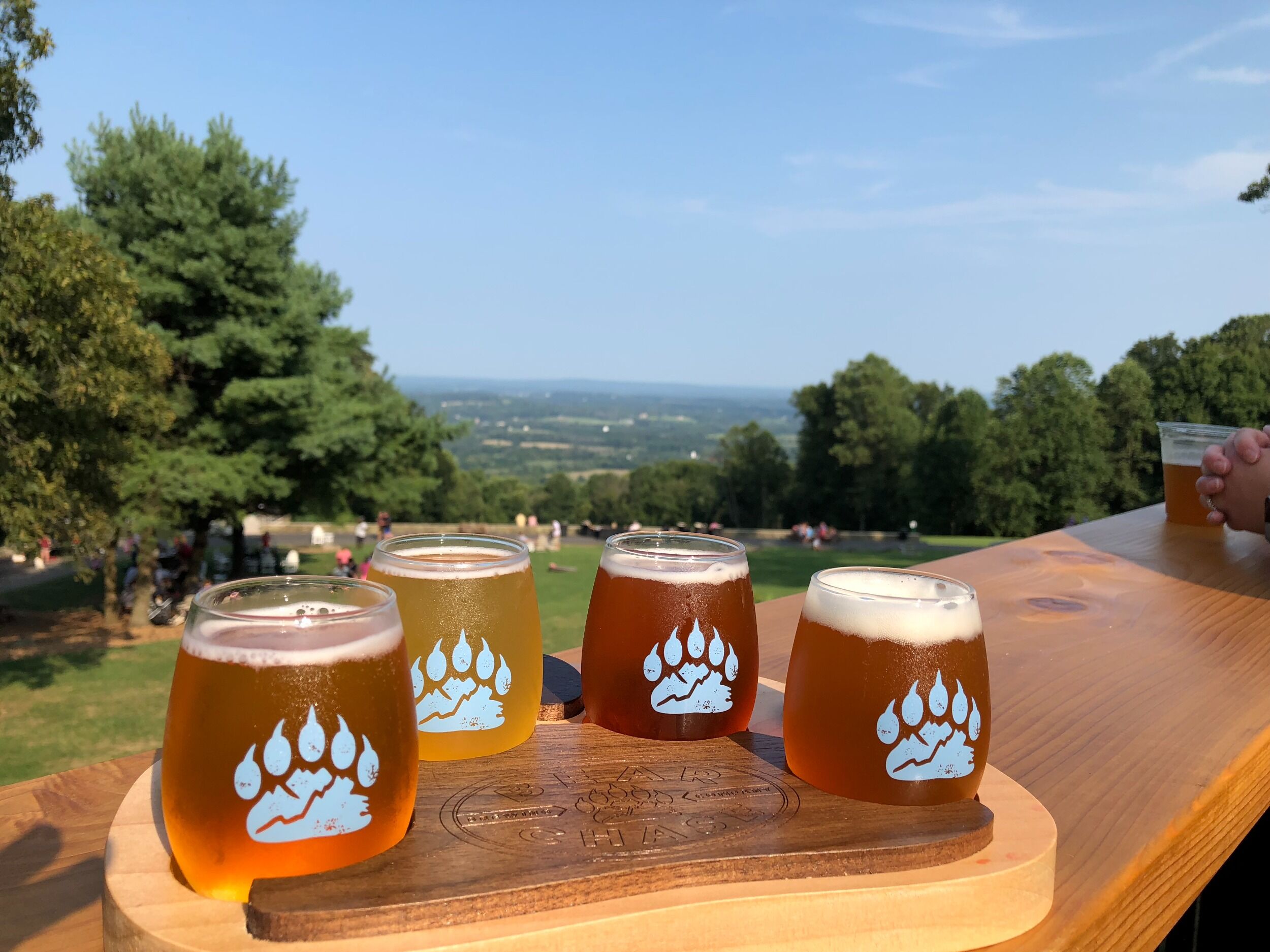 Picture of Bear Chase Brewing Company