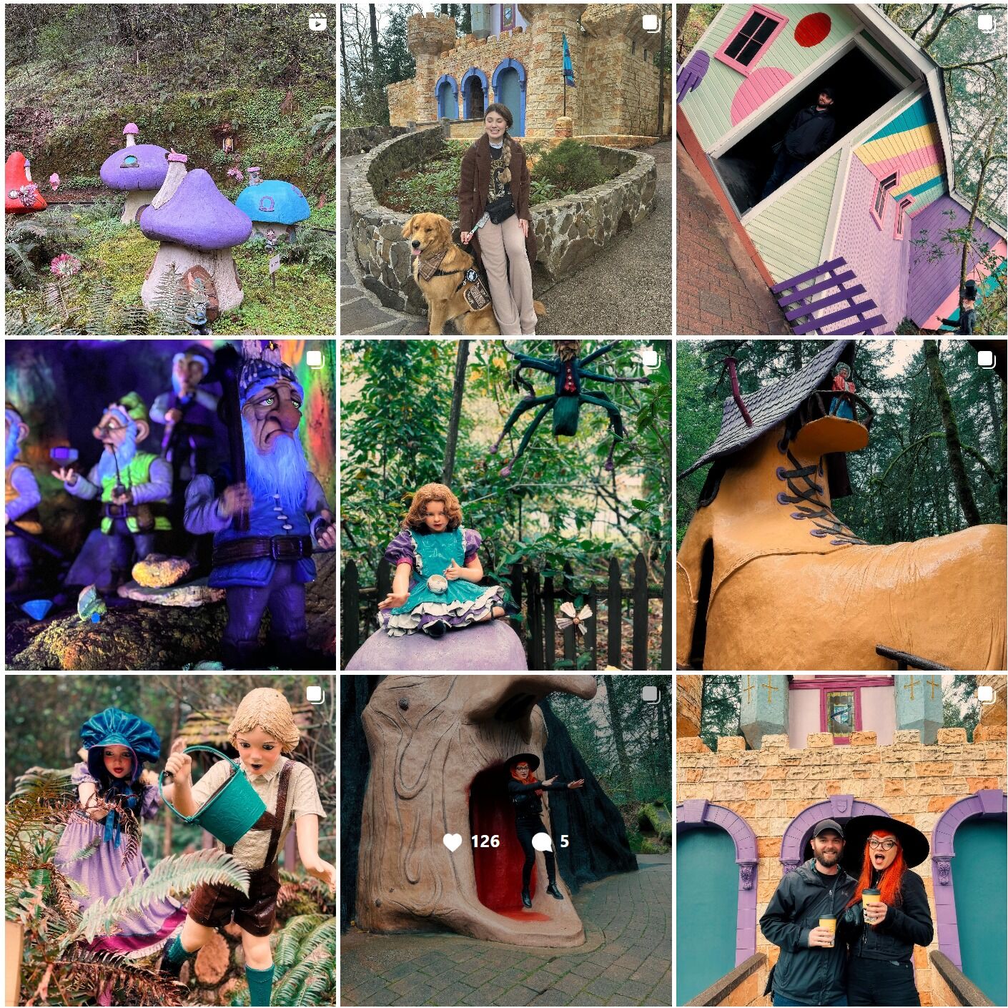 Picture of Enchanted Forest