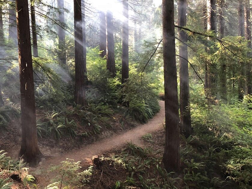 Picture of Hoyt Arboretum