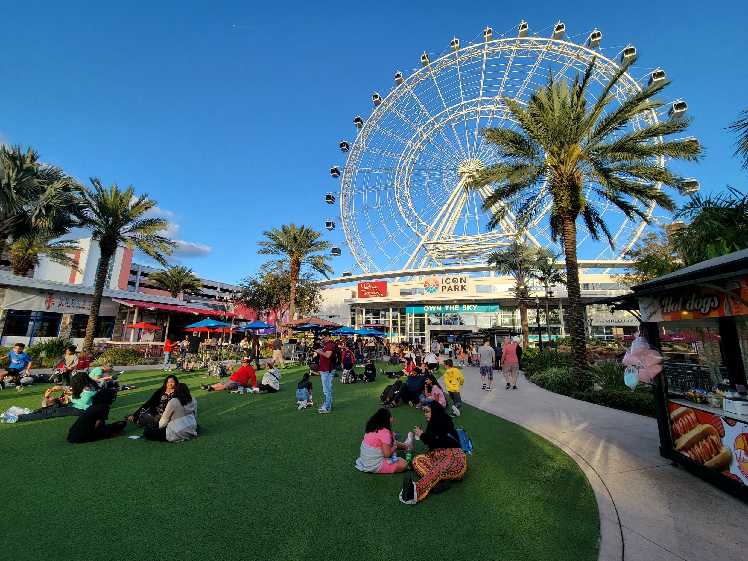 Picture of ICON Park