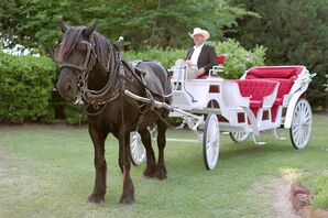 Horse and Carriage at East Texas Wedding