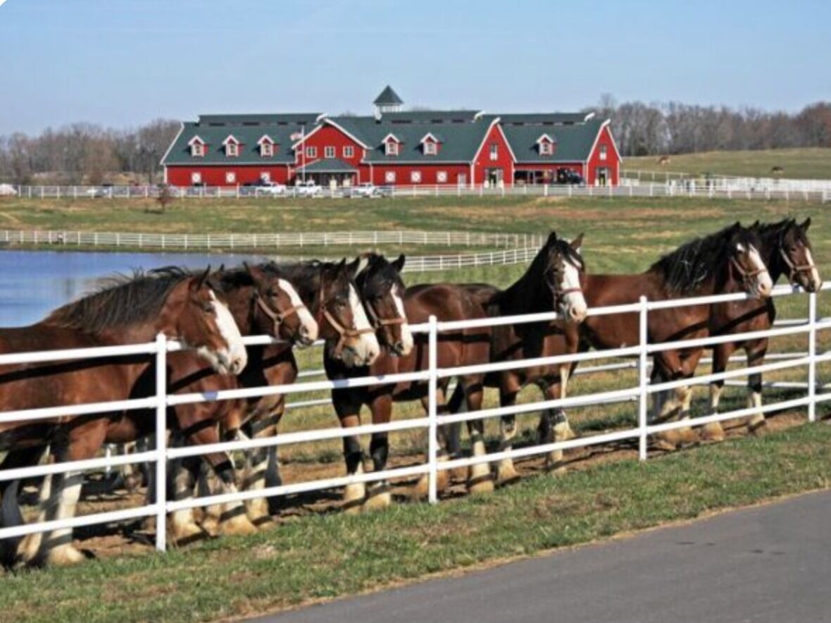 Picture of Warm Springs Ranch