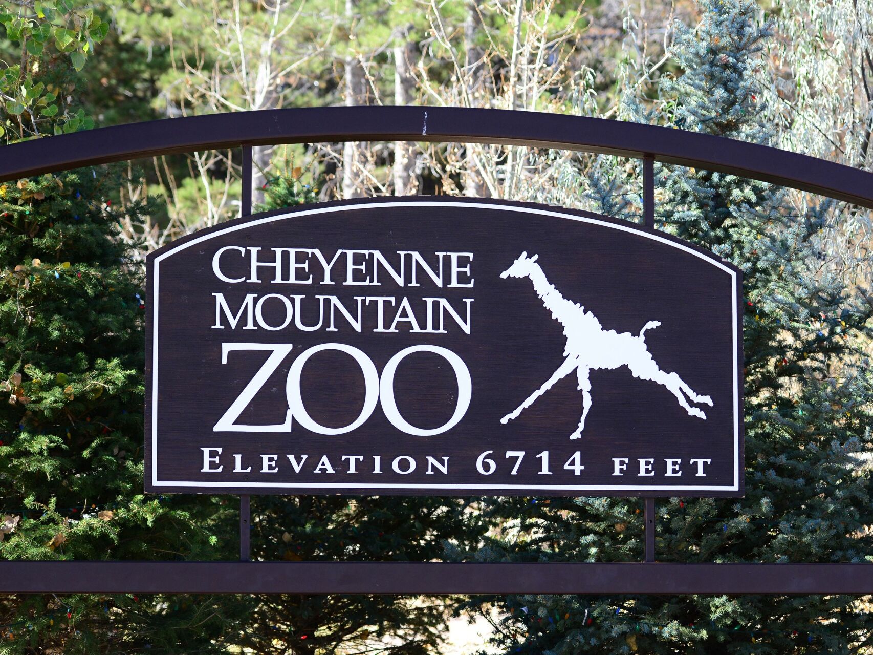 Picture of Cheyenne Mountain Zoo