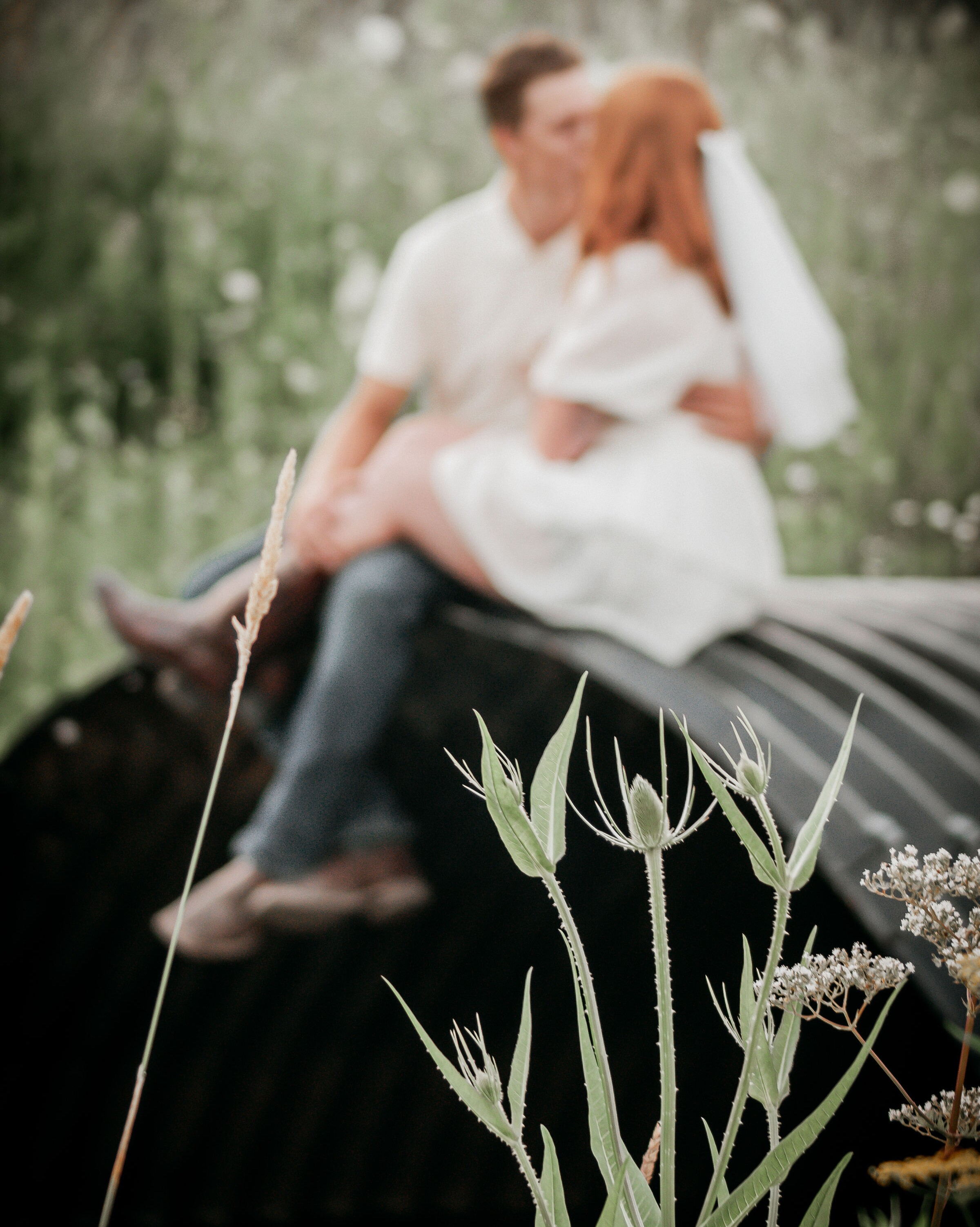 Samantha  & Titus  Home Page Banner