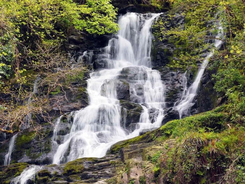Picture of Torc Waterfall