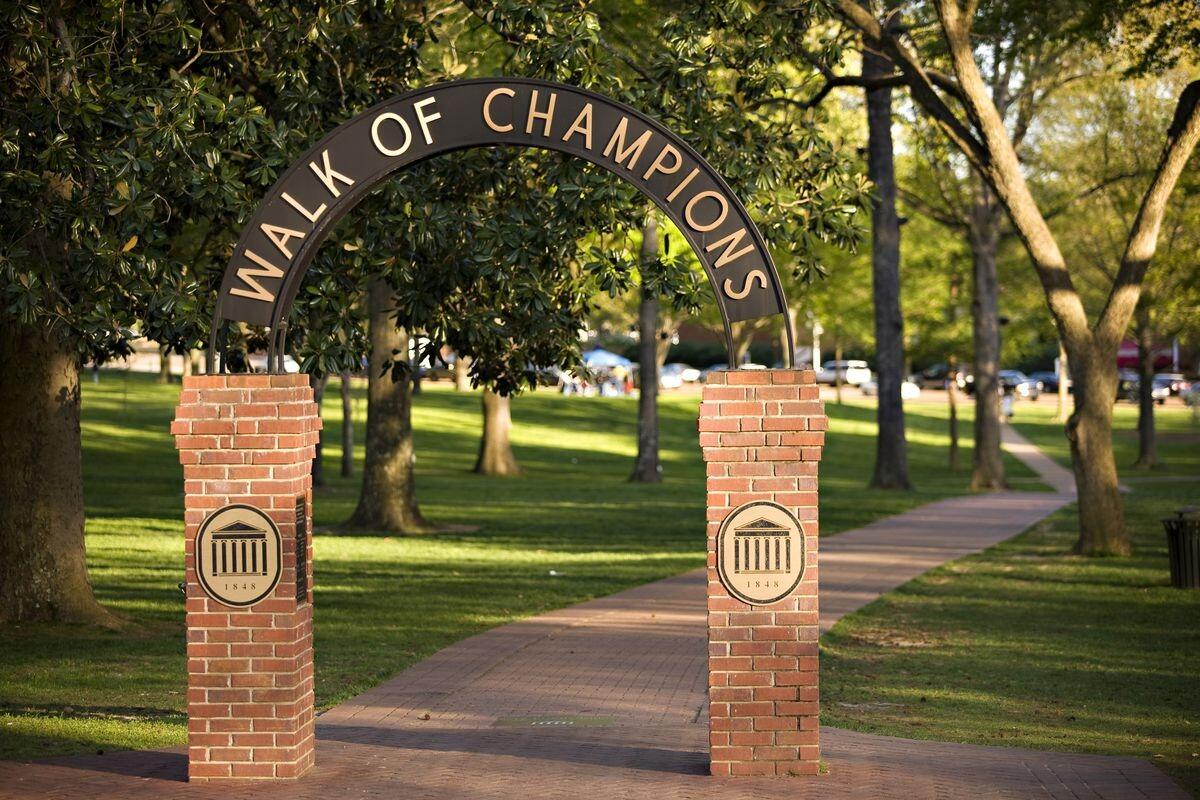 Picture of The Grove