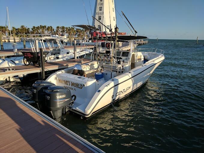 Picture of Seasquared Charters