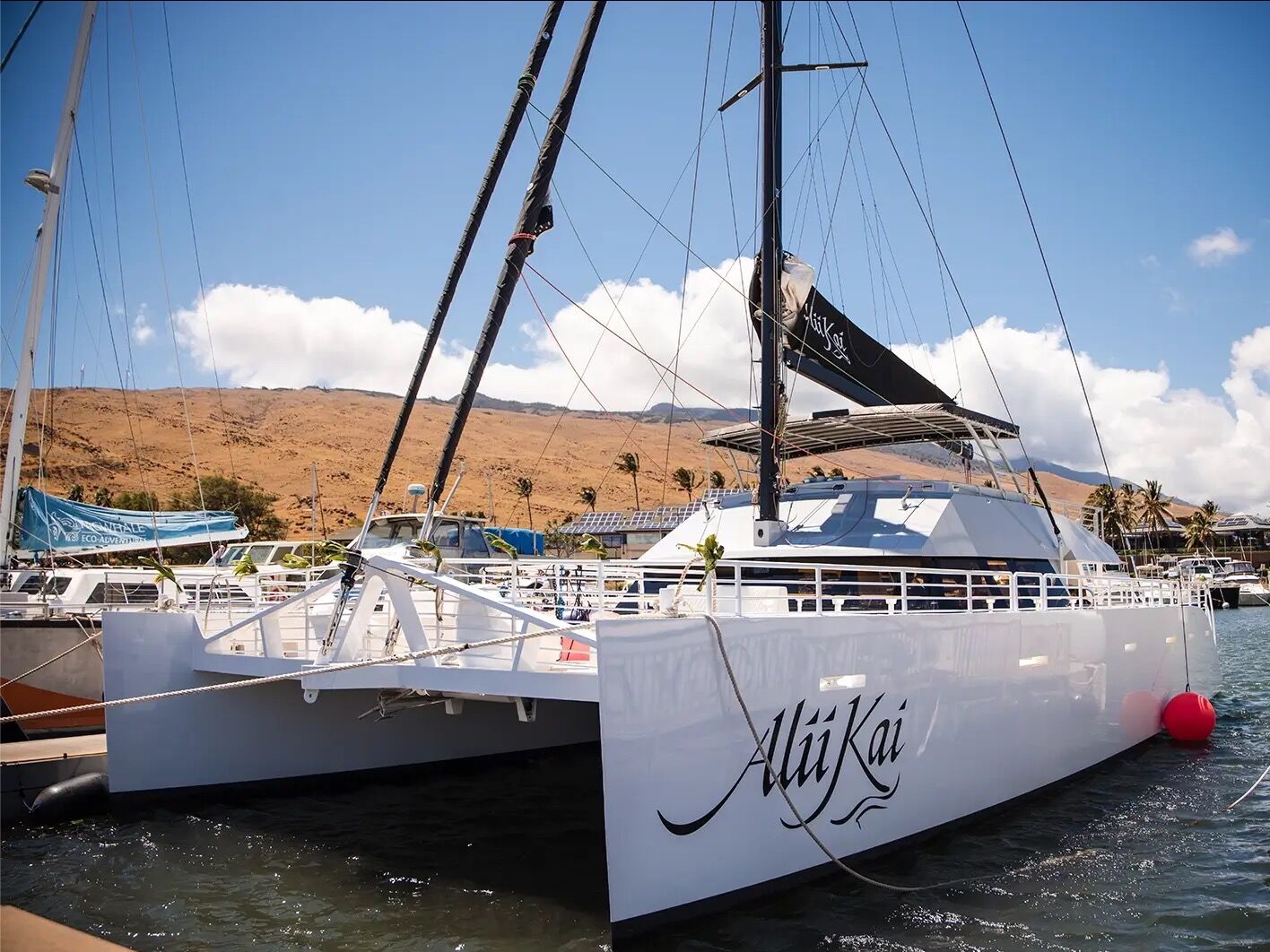 Picture of Alii Nui Sailing Charters